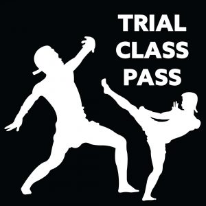 Trial Class Pass | Yoshin Martial Arts